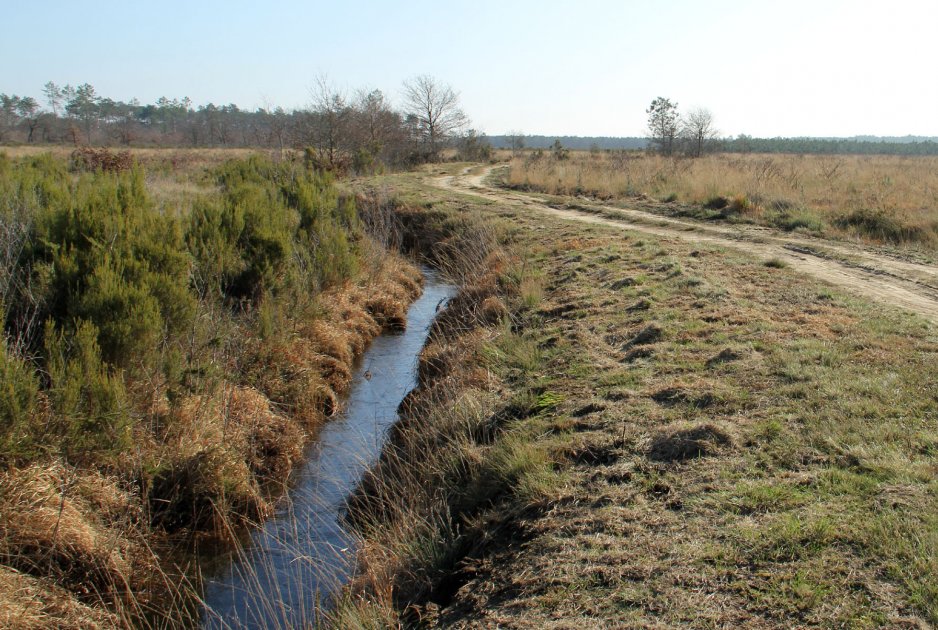 Landes